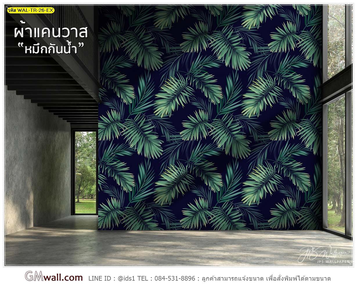 Wallpaper วอลเปเปอร์ ใบไม้ ต้นไม้ ป่าไม้