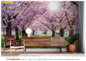 วอลเปเปอร์ต้นซากุระ